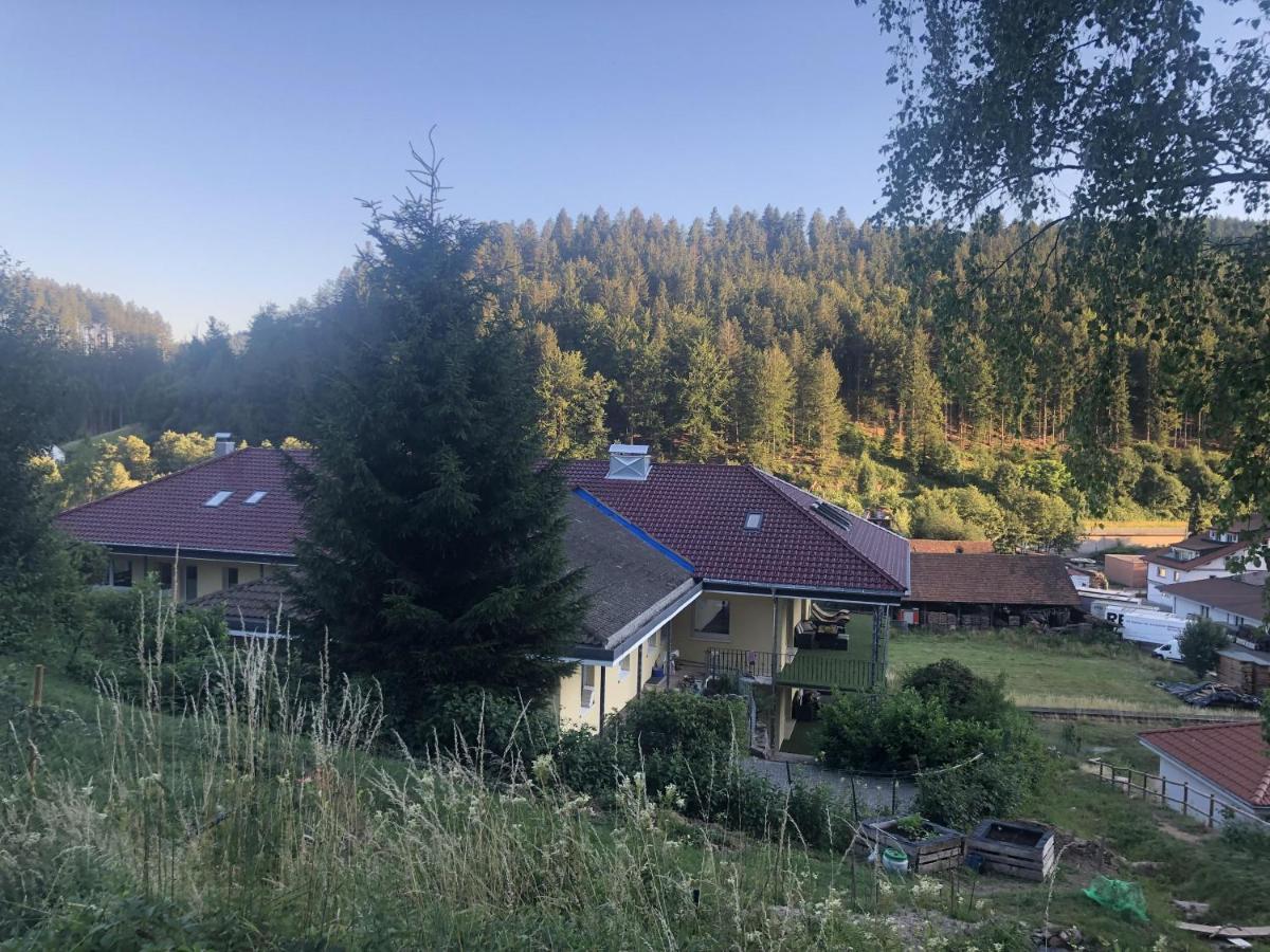 Ferienhaus Lacher Baiersbronn Exteriér fotografie